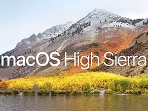 does office for mac 2011 work with high sierra